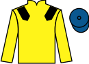Jockey silks for Wezzeer (IRE)