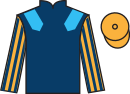 Jockey silks for Ted Le Saux