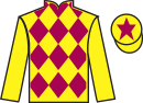 Jockey silks for The Wise Traveller (IRE)