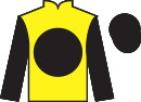 Jockey silks for Local Derby (IRE)