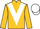 Jockey silks for Answer That (IRE)