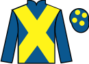 Jockey silks for Enjoy d'Allen (FR)