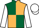 Jockey silks for Havaila (IRE)