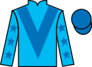 Jockey silks for Prince Ali