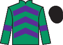 Jockey silks for Simba's Gift