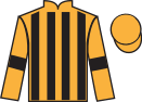 Jockey silks for Ignition (IRE)