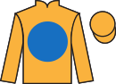 Jockey silks for Ruby's Angel (IRE)