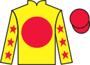 Jockey silks for Go Vince Go (IRE)
