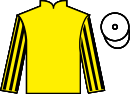 Jockey silks for Cherry Baker
