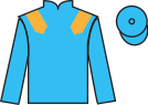 Jockey silks for Silky Wilkie (IRE)