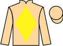 Jockey silks for Sujet