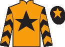 Jockey silks for Friends Don't Ask