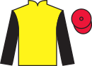 Jockey silks for Known Warrior (FR)