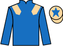 Jockey silks for Tea Sea (FR)