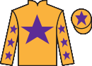 Jockey silks for Respectable Jack