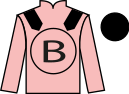 jockey silks