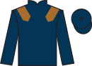 jockey silks