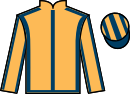 jockey silks