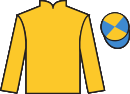 jockey silks