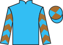 jockey silks