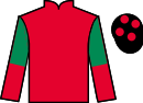 Jockey silks for Son Of Hypnos (IRE)