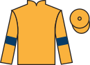 Jockey silks for Ashdown Forest (IRE)
