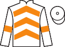 Jockey silks for Toomuchforme