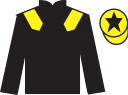 Jockey silks for Gesayed