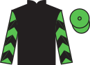 Jockey silks for Bear Steps (USA)