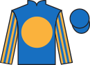 Jockey silks for Flushing Meadows (USA)