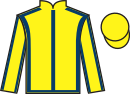 Jockey silks for Golden Story (IRE)