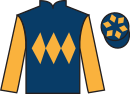 Jockey silks for Gentle George