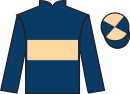 Jockey silks for Let's Dream