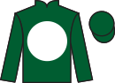 Jockey silks for Organ
