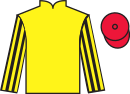 Jockey silks for Magnetude