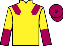 Jockey silks for Fozzie (IRE)