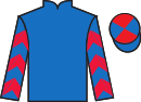 Jockey silks for Jamie's Choice