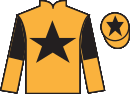 Jockey silks for Looks Fantastic