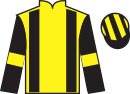 Jockey silks for Miss Magic Dragon