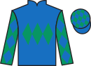 Jockey silks for Military Leader