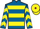 Jockey silks for Jamaican Storm