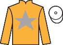 Jockey silks for Cabeza De Llave