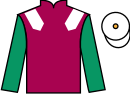 Jockey silks for Bizou