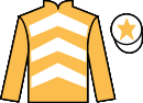Jockey silks for Princess Aveen (IRE)