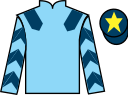 jockey silks