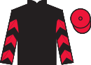 jockey silks