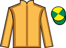 jockey silks