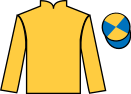 jockey silks