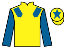 jockey silks