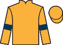 jockey silks